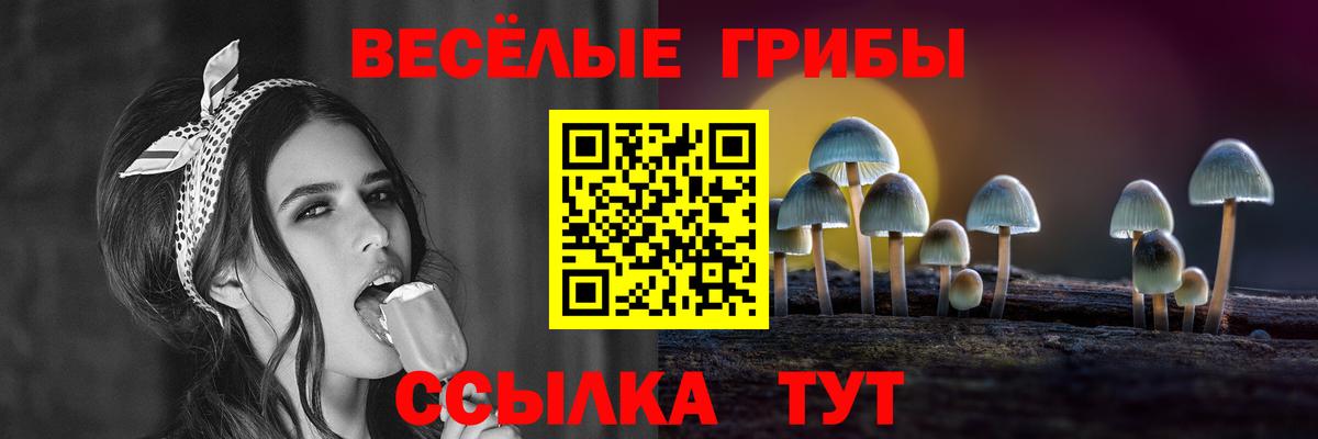 Вольск  Псилоцибиновые грибы мухоморы  Вход с VPN 